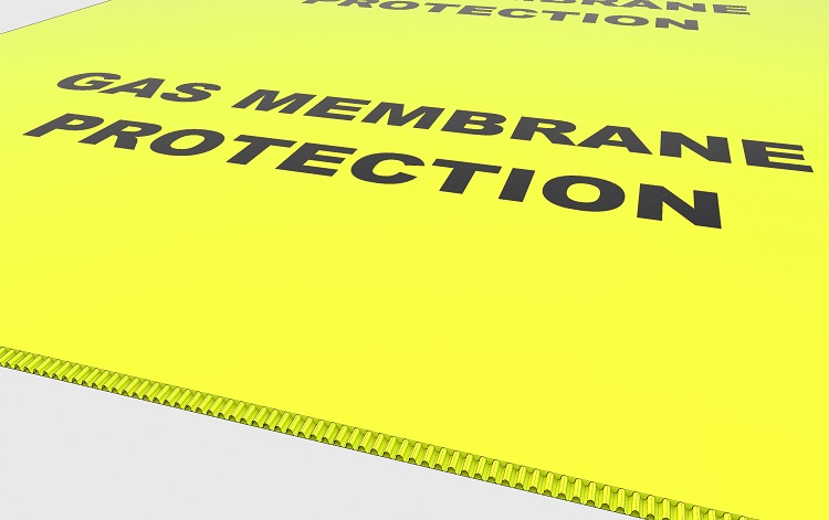 Protech Protection Board cover image