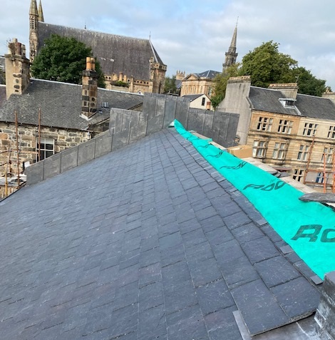 Roofshield - Paisley - Image 2